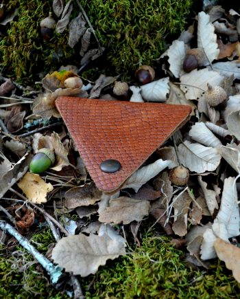 Chamuça Brown Scales by J.B