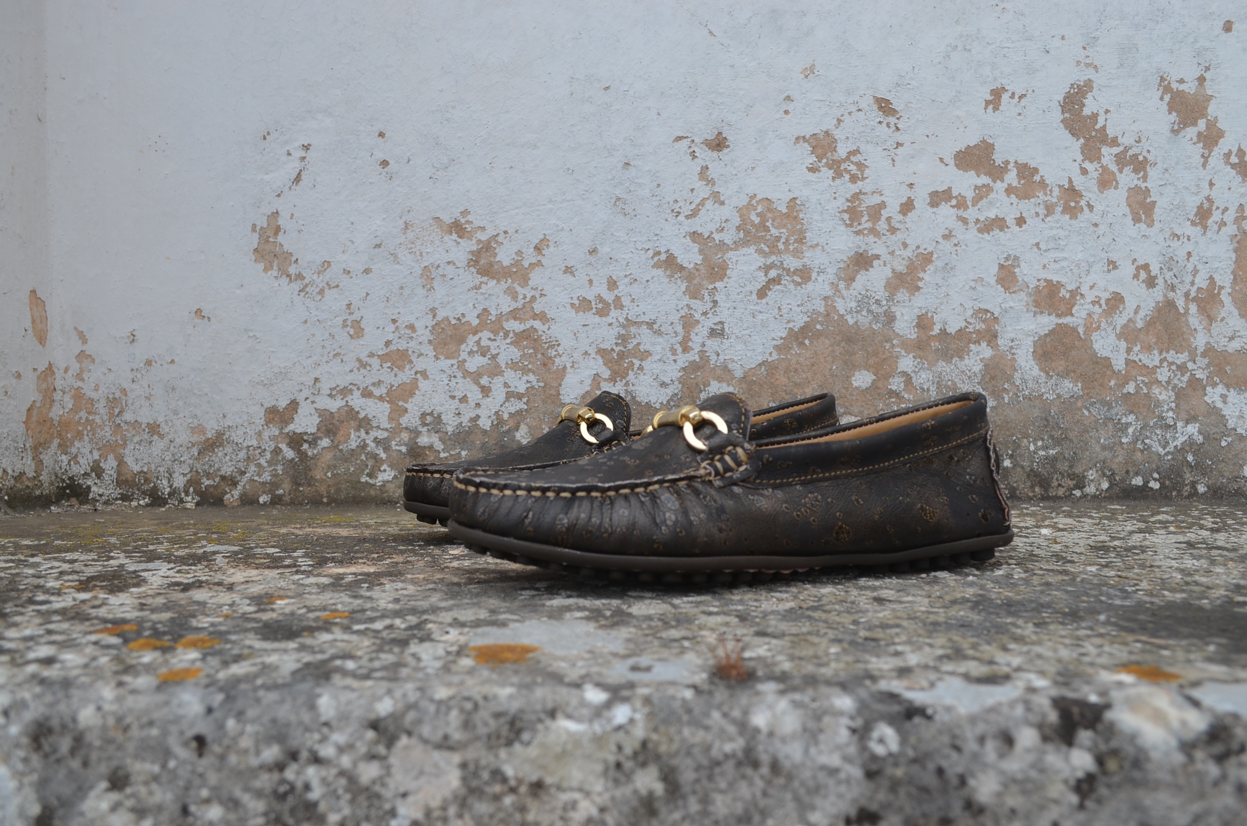 Mocassim Teiù