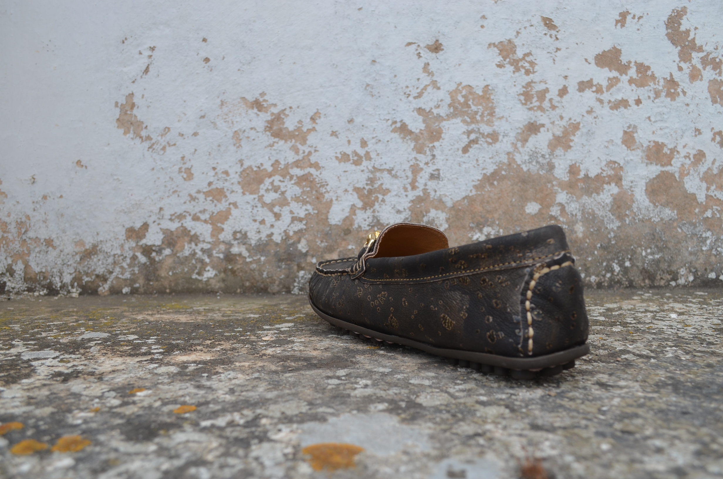 Mocassim Teiù